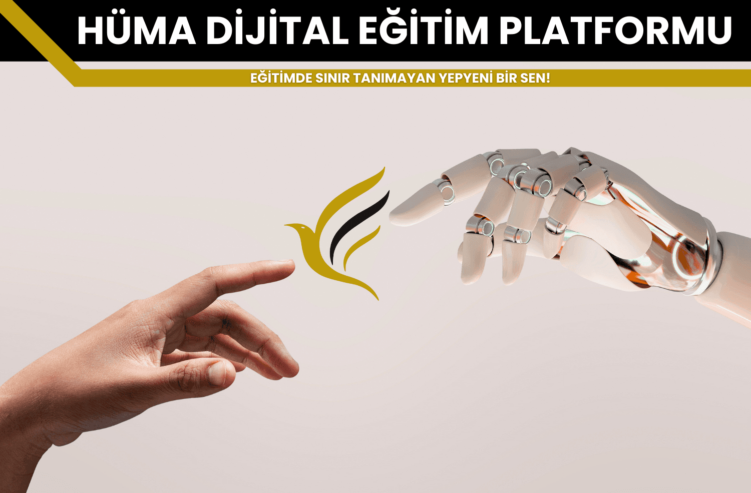 Eğitime git TEst